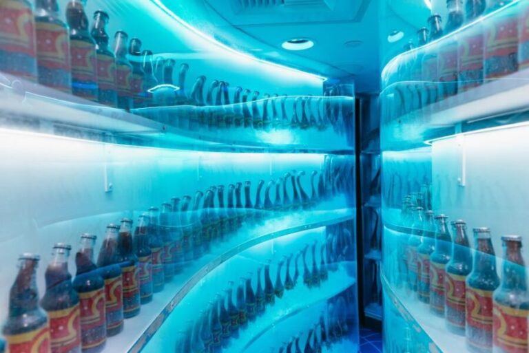 Las Vegas: Meow Wolf Omega Mart Ticket - The Practical Side: What You Need to Know