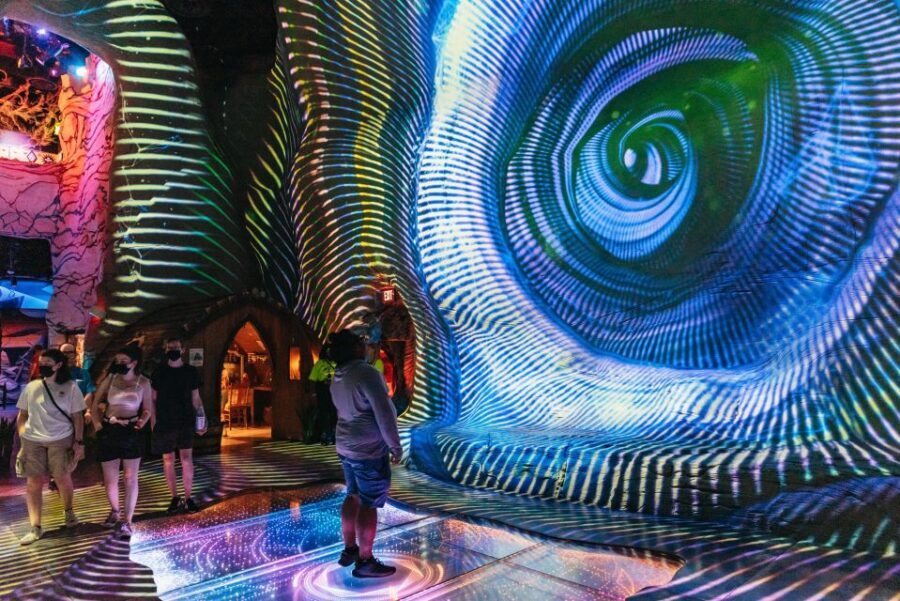 Las Vegas: Meow Wolf - Omega Mart VIP Ticket - The Experience Itself: What You Can Expect