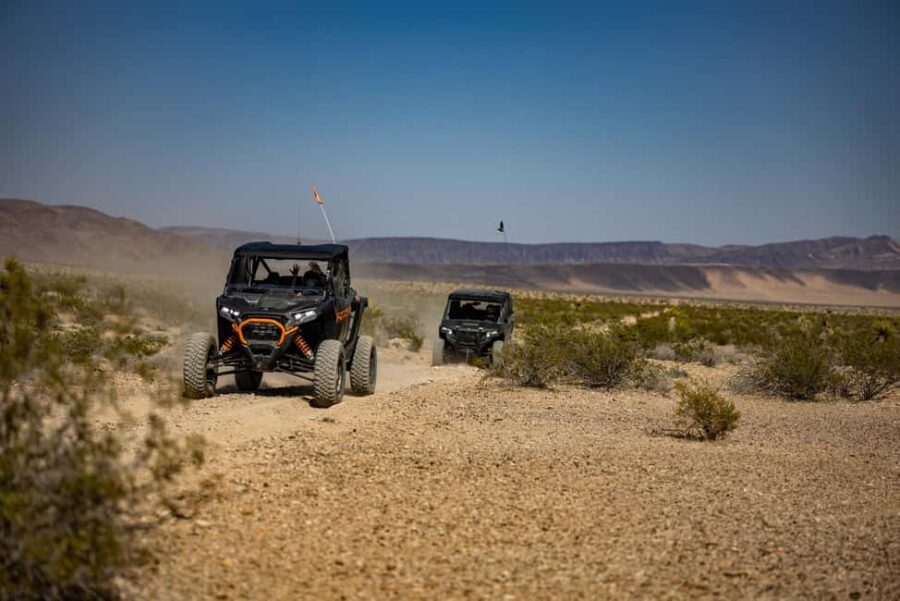 Las Vegas Mojave Off Road Adventure |Guided Tour-Let's Ride! - What to Expect from Your Mojave Adventure