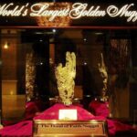 Las Vegas Night Tour High Roller Wheel Ride Guided Tour Option - What to Expect from the Tour