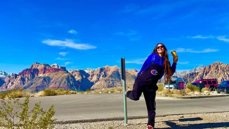 Las Vegas: Private Red Rock Canyon Guided Driving Adventure - The Views and Wildlife Encounter