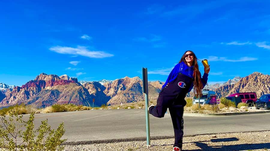 Las Vegas: Private Red Rock Canyon Guided Driving Adventure - The Views and Wildlife Encounter