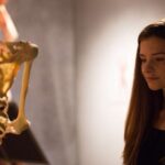 Las Vegas: REAL BODIES at Horseshoe Las Vegas Entry Ticket - The Artistic Touch