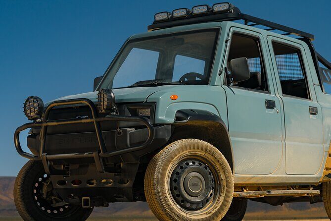 Las Vegas Strip and Downtown Las Vegas Guided Tours - What to Expect During the Tour