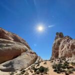 Las Vegas: Valley of Fire Guided Tour in Spanish - Practical Details and What to Expect
