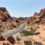 Las Vegas: Valley Of Fire State Park Tour - Who Is This Tour Best For?