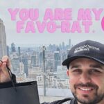 Late Night Rat Tours - A Deep Dive into the Tour Experience