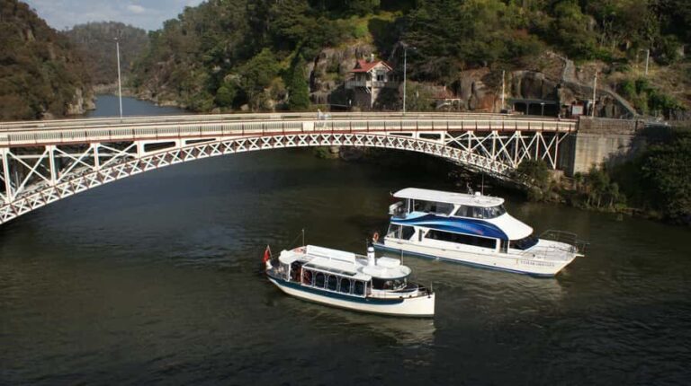 Launceston: 2.5-Hour Afternoon Discovery Cruise - What to Expect and Practical Tips