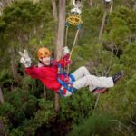 Launceston: Hollybank Forest Treetop Zip Lining with Guide - What Could Be Improved?