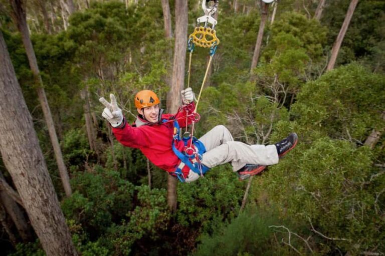 Launceston: Hollybank Forest Treetop Zip Lining with Guide - What Could Be Improved?