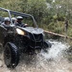 Laurentians: guided buggy tour - What to Expect on the Day