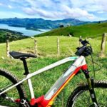 Lava Loop- Guided electric mountain bike tour in Akaroa - The Experience and Atmosphere