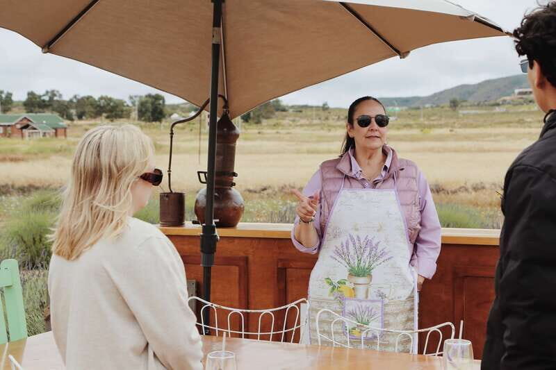 Lavender Experience Valle de Guadalupe - Guided Field Tour - Is It Worth the Price?