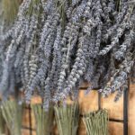 Lavender Farm Experience with Local Lunch, Day Trip from Toronto - Midday Break at Mono Cliffs Inn