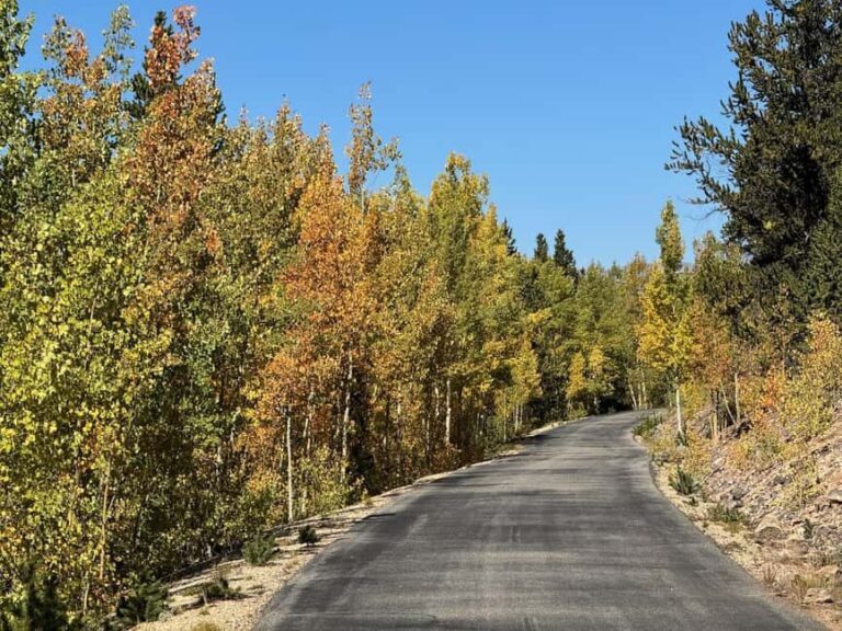 Leadville: 2-Hour Guided E-Bike Tour - The Tour Highlights