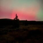 Leadville: Route of the Silver Kings Guided E-Bike Tour - How the Tour Works