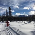 Learn to Cross Country Ski in Lake Louise - The Cost and Value