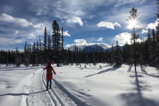 Learn to Cross Country Ski in Lake Louise - The Cost and Value