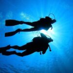 Learn to Scuba Dive with a Professional Instructor in Key Largo - All Inclusive - What Makes This Tour Stand Out?