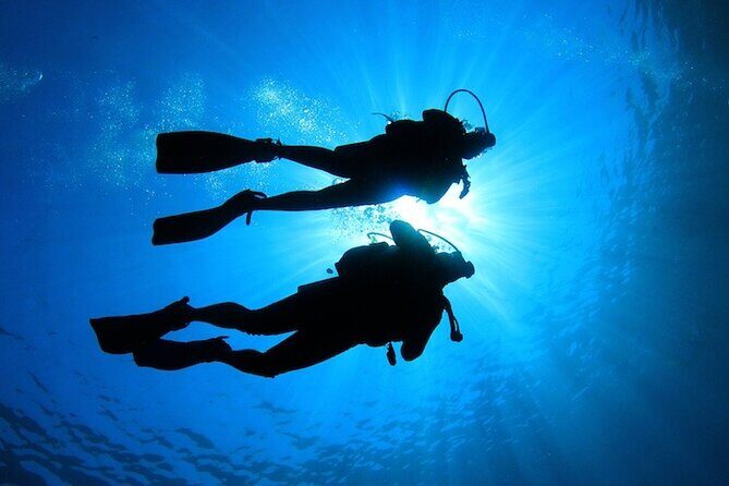 Learn to Scuba Dive with a Professional Instructor in Key Largo - All Inclusive - What Makes This Tour Stand Out?