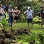 Legends of Hawaii: Oahus Untold Stories - Sacred Sites: Peles Chair, Makapuu Heiau, and Ulup Heiau