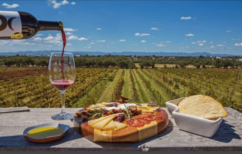 León: Wine Tasting & Vineyard Tour at Viñedo Jalpense - The Itinerary: Step by Step