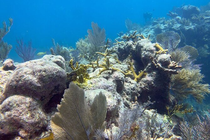 Let it Ride Charters-Private Fishing / Snorkel Combo Key Largo FL - The Itinerary Breakdown