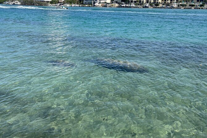 Lets Paddle! Jupiter & surrounding areas - What to Expect: The Details