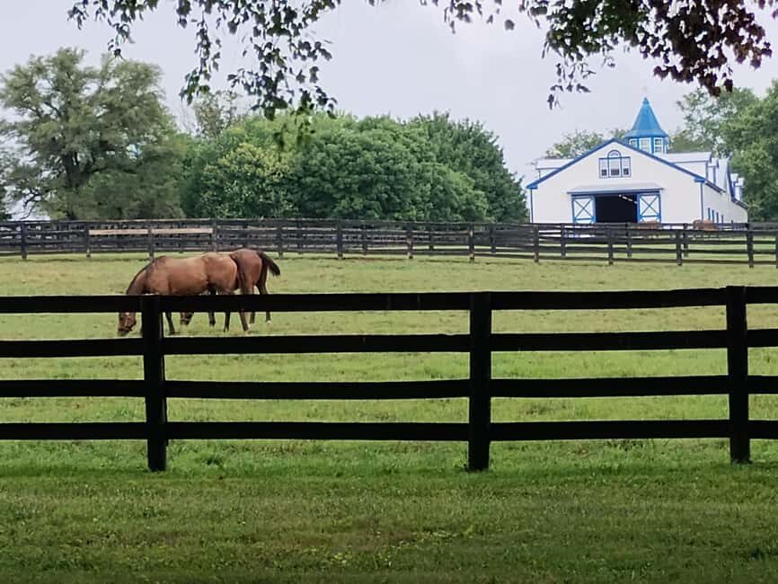 Lexington: Thoroughbred Horse Farm Tour and Scenic Bluegrass - What to Expect from the Tour