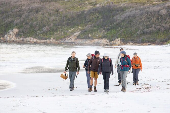 Lighting the Sound Uredale Twilight Hike - How It Compares and Who Should Consider It