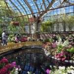 Lincoln Park Nature Museum & Zoo Private Walking Tour - Discovering Lincoln Park: An In-Depth Review