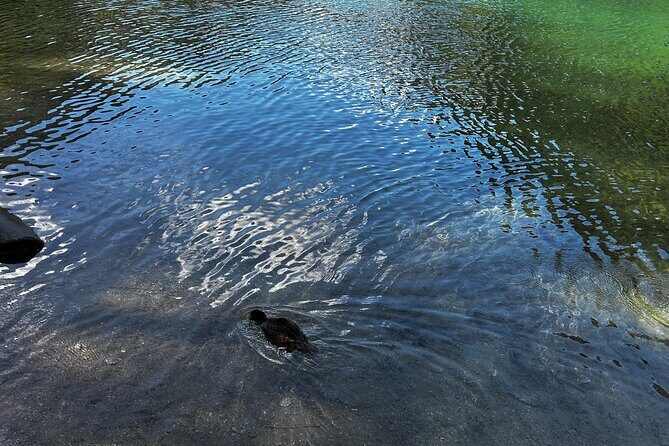 Lindeman and Chilliwack Lakes Sightseeing Tour - What’s Included and What to Expect