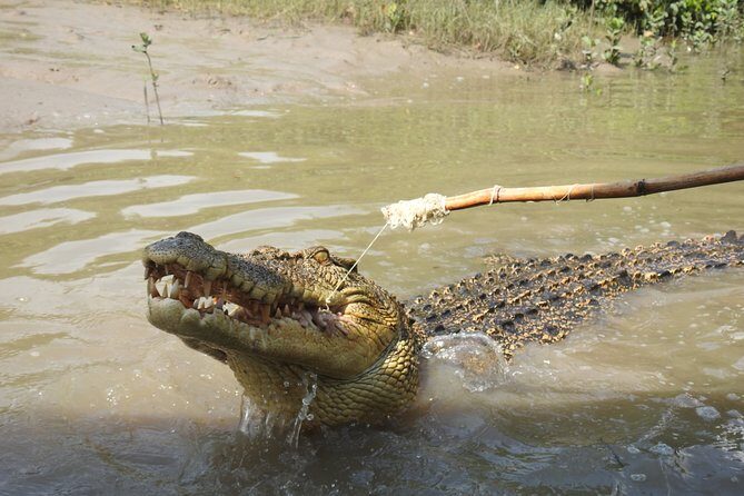 Litchfield and Jumping Crocodiles Full Day Trip from Darwin - The Value of the Tour