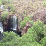 Litchfield National Park and Jumping Crocodile Cruise - What Travelers Say