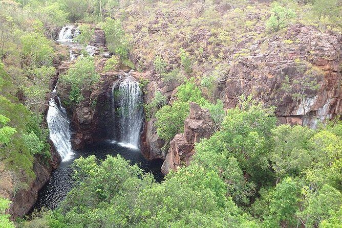 Litchfield National Park and Jumping Crocodile Cruise - What Travelers Say