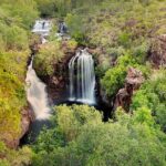 Litchfield Park Adventures + Berry Springs - The Bottom Line