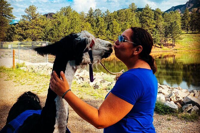 Llama to Lunch in the Rocky Mountains - The Practicalities and Things to Keep in Mind