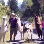 Llama Trek (Taster) - Kowhai River Valley and Native Woodland Tour - The Scenic Value of the Location