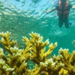 Local Fishing Plus Snorkeling Tour in Isla Mujeres - Who Should Consider This Tour