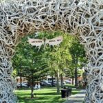 Lodging at Old Faithful Yellowstone&Grand Teton Small Group 4-day - Who Is This Tour Best For?