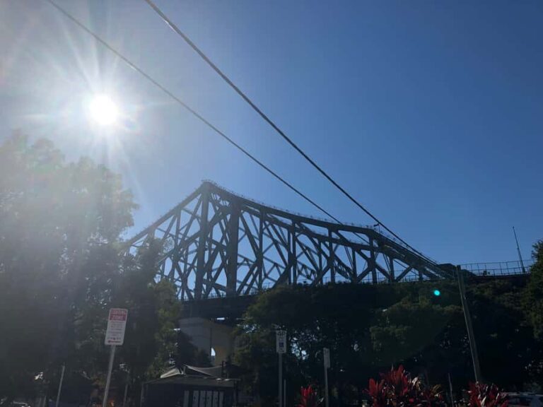 Lone Pine and Brisbane City Highlights - A Closer Look at the Experience