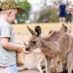 Lone Pine Koala Sanctuary Day Pass - Reviews and Real Traveler Insights