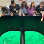 Long Beach: Glass Bottom Boat Harbor Ecotour - The Experience Itself