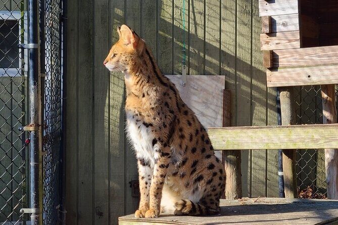 Long Island Farm & Wildplay Jones Beach Tour | Kids 50% Off - The Potential Drawbacks