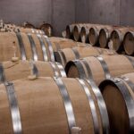 Long Island Wine Tour North Fork Sights, Bites & Flights Full-Day - What’s Included and What’s Not