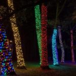 Longwood Gardens from Philadelphia Spring Flowers Pop Up Tour - More Insights from Reviews