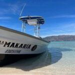 Loreto: Speedboat Tour with Swimming, Snorkeling and Picnic - The Practical Side: Pricing, Duration, and Inclusions