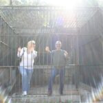 Los Angeles: 2.5hr MiniCar Guided Discover LA Tour YOU drive - Final Thoughts: Is This Tour for You?