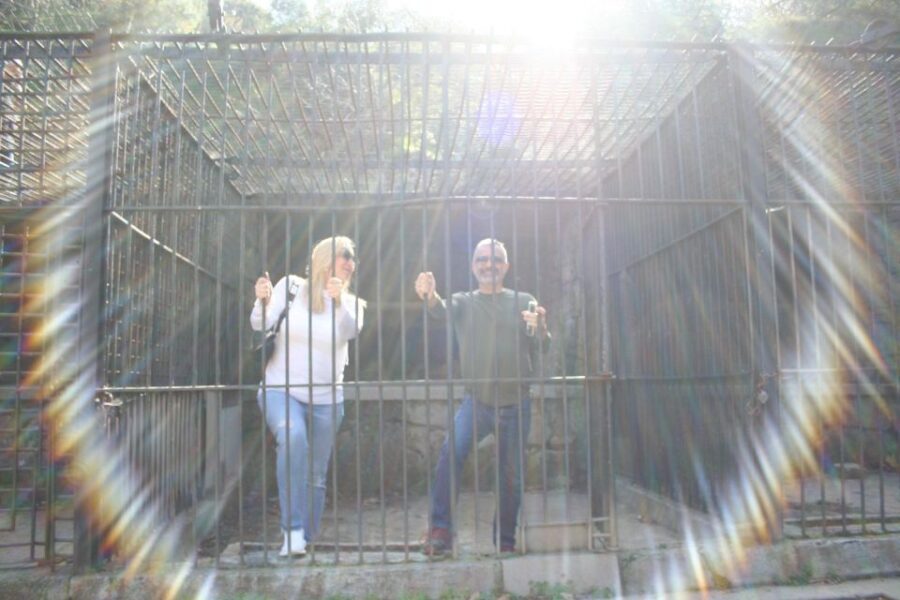 Los Angeles: 2.5hr MiniCar Guided Discover LA Tour YOU drive - Final Thoughts: Is This Tour for You?