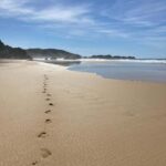 Los Angeles: 2-Day Private Surf Tour with Lunch - Who Will Love This Tour?